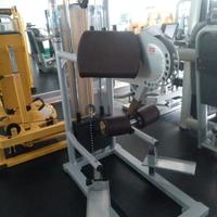 Gluteus Machine Teca Fitness