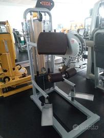 Gluteus Machine Teca Fitness