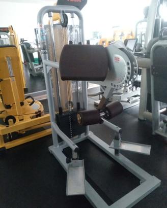 Gluteus Machine Teca Fitness