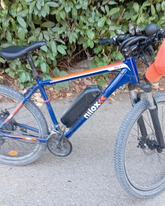 bici elettrica 