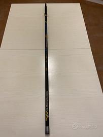 Canna Bolognese 7mt.