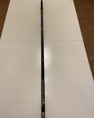 Canna Bolognese 7mt.