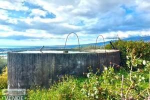 Terreno agricolo coltivato a Calatabiano