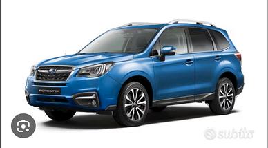 Parabrezza Subaru Forester IV serie