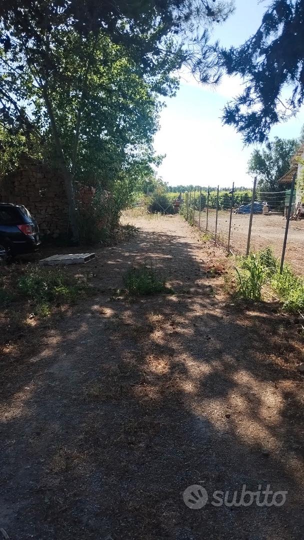 Terreno agricolo con rustico - Vista 3