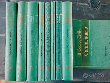 il Codice Civile Commentario