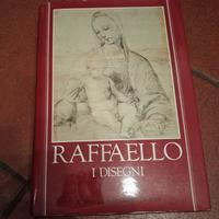 Raffaello - I Disegni