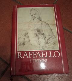 Raffaello - I Disegni
