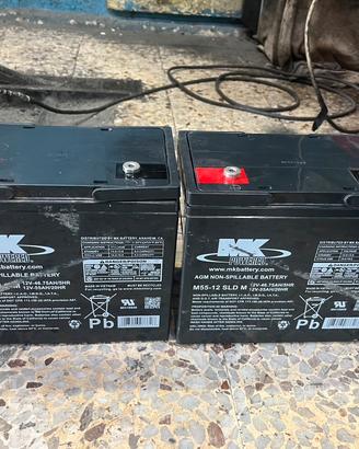 Batterie AGM per sedia a rotelle scooter elettrico