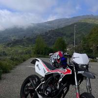 Beta RR 50 - 2019