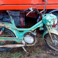 Testi az 50 1964 spedizione compresa intero