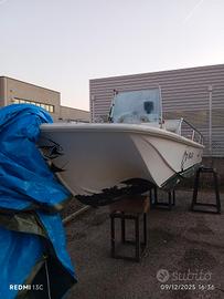 Boston whaler 17