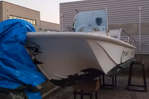 Boston whaler 17