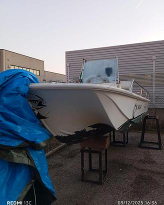 Boston whaler 17