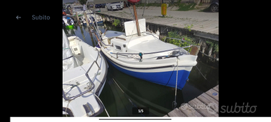 Gozzo Catarsi Meloria