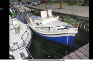 Gozzo Catarsi Meloria