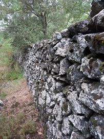 Rifugio Etna: Terreno Recintato Muretto a secco