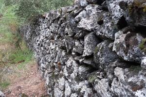 Rifugio Etna: Terreno Recintato Muretto a secco