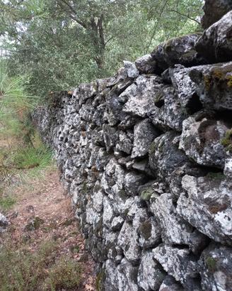 Rifugio Etna: Terreno Recintato Muretto a secco