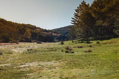 Terreno in zona Cadore e dintorni, non edificabile