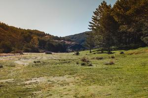 Terreno in zona Cadore e dintorni, non edificabile