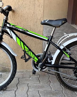 Bicicletta / MTB Ragazzo Velomarche "Street Gang"