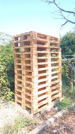 Europallet