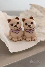 coppia gatti Thun 2026