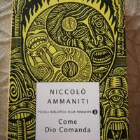 Libro "Come Dio comanda" di Niccolò Ammaniti