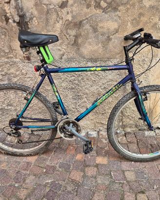 bicicletta mountain bike