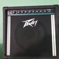 Amplificatore Peavy Envoy 110 40W