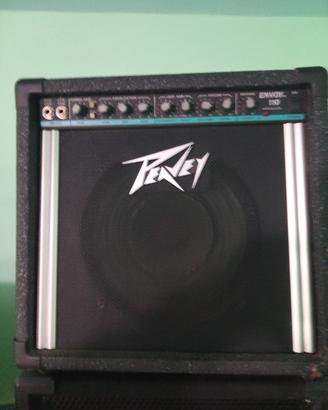 Amplificatore Peavy Envoy 110 40W