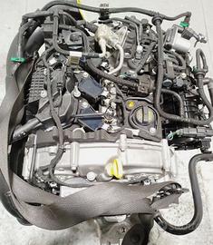 Motore focus-puma 1.0-M0DC