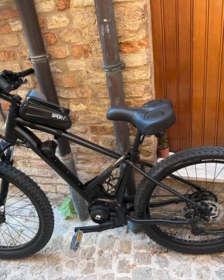 Bicicletta elettrica