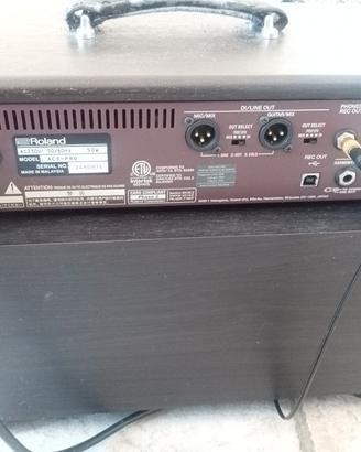 amplificatore boss Singer pro 120w