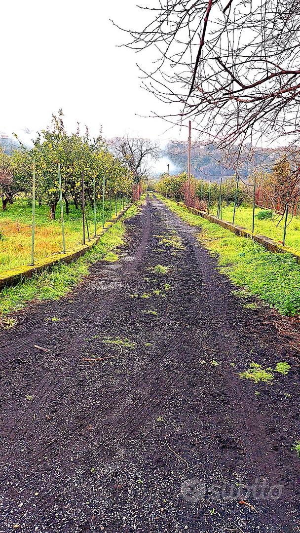 Terreno Agricolo con Ampio Casolare - Vista 6