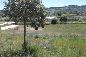 Terreno agricolo in zona Valdaso di Altidona