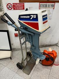 Motore Fuoribordo Evinrude 7.5