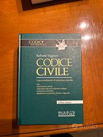 Raffaele Viggiani codice civile