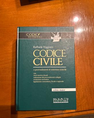 Raffaele Viggiani codice civile