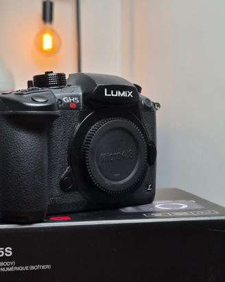 Panasonic Lumix GH5s + 3 batterie + Cage Smallrig