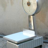 BILANCIA BIZERBA 3 KG
