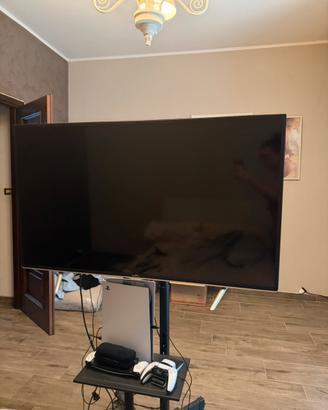 Supporto TV professionale con ruote