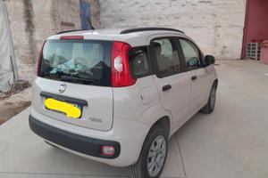  Fiat panda 3° serie