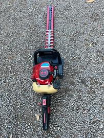 Tagliasiepi Kawasaki