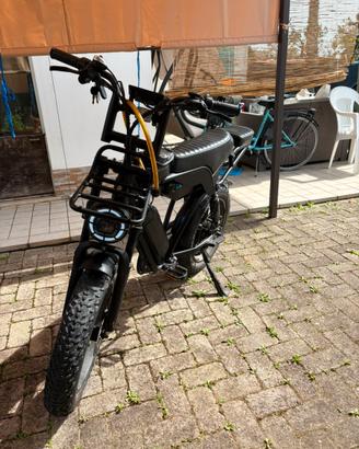 Bici elettrica