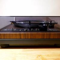 Pioneer PL 51