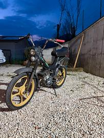 Oxford peripoli franco Morini