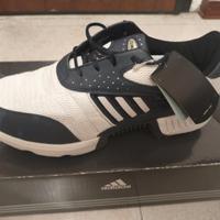 Scarpe da golf numero 46