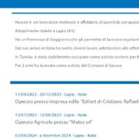 Autista con patente B.C.CE